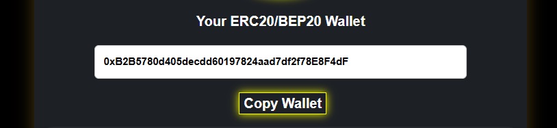 Creation of BEP20 wallet within the Guepard Wallet.